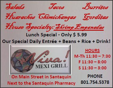 Viva Mexi Grill